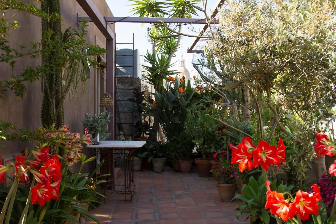 Tre Vie Apartment Con Terrazzo Giardino Pensile Catania