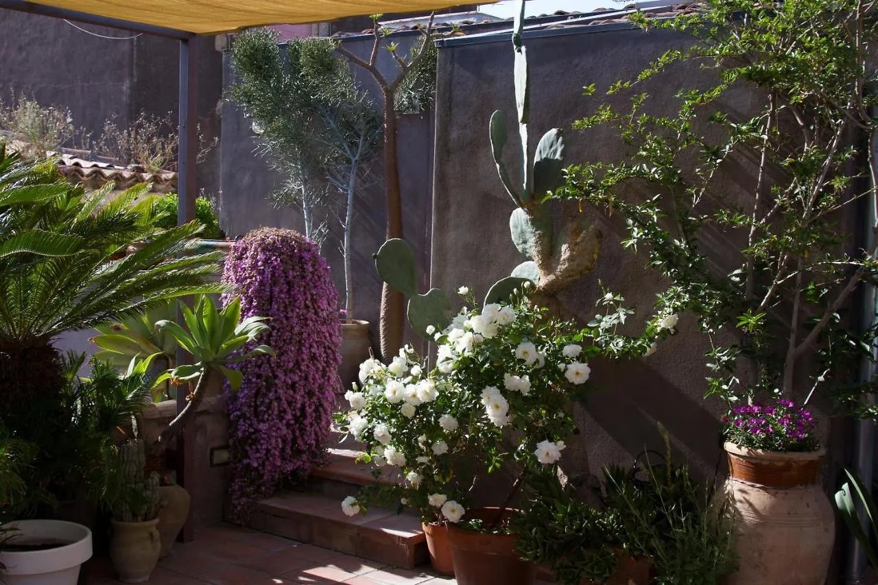 Tre Vie Apartment Con Terrazzo Giardino Pensile Catania